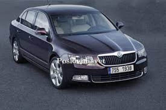 Auto otpad za ford sabac #8